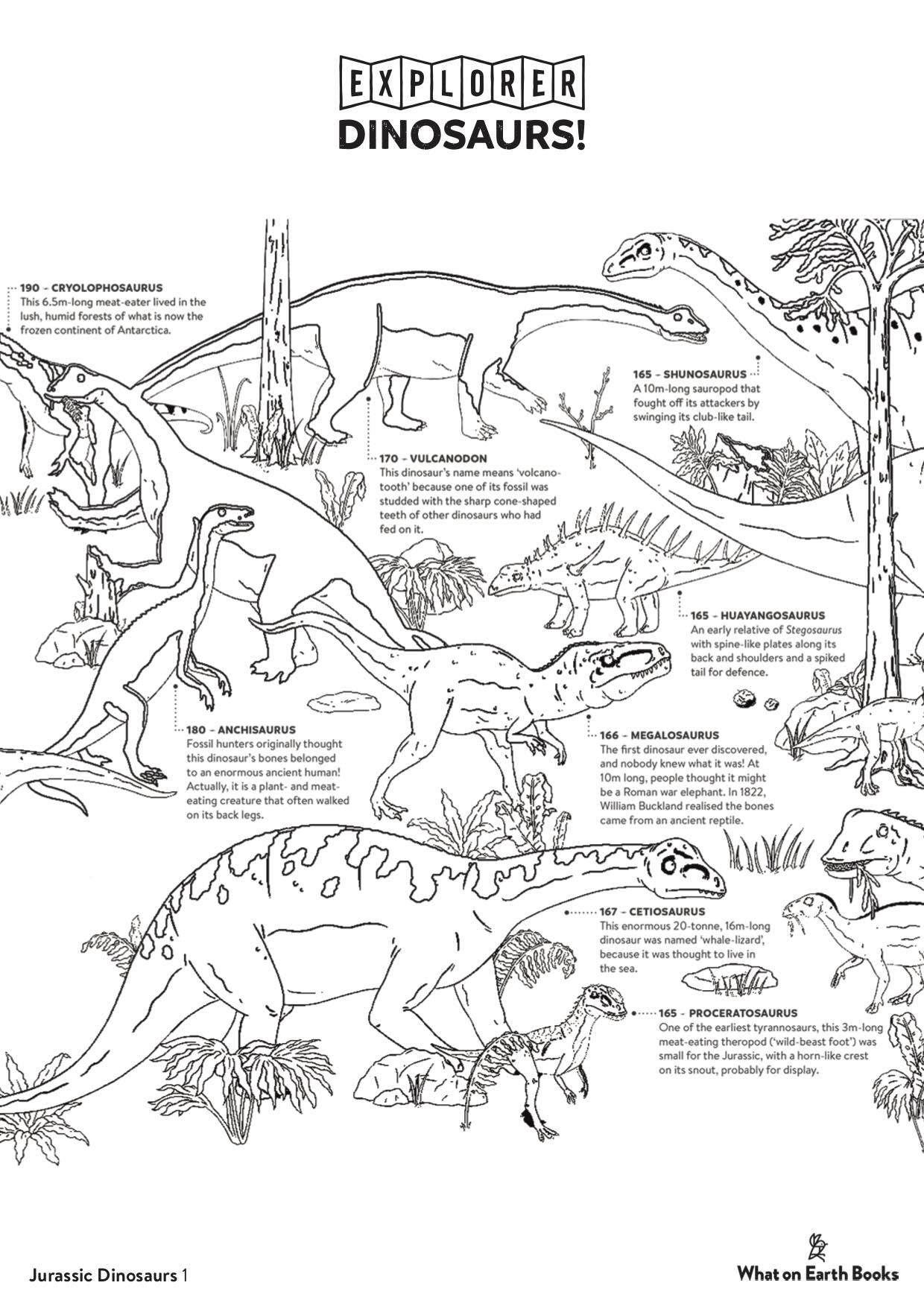Explorer Colouring-in Sheets - What on Earth Publishing What On Earth ...